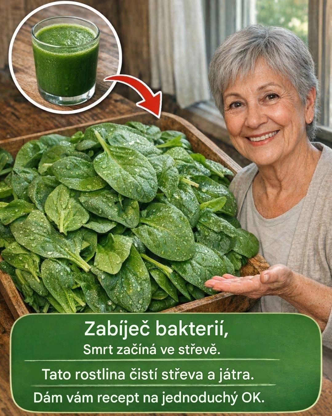 Zabiják bakterií: smrt začíná ve střevech. Tato rostlina čistí střeva a játra. Dám vám recept na jednoduchý…