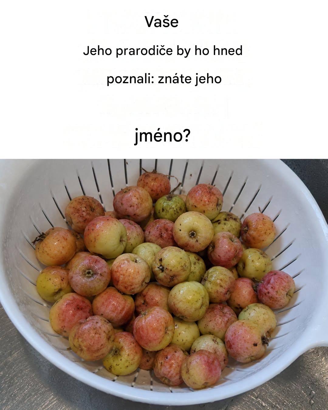 Zapomenuté ovoce, které zlepšuje trávení a posiluje obranyschopnost