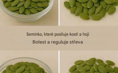 Dýňová semínka, přírodní superpotravina
