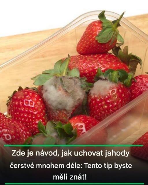 Takže jahody zůstávají čerstvé mnohem déle: Tento tip byste měli znát!