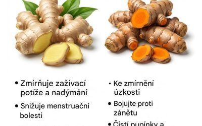 Měli byste užívat zázvor nebo kurkumu? Který z nich byste si měli vybrat v závislosti na vašich potřebách?