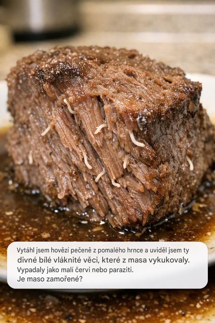 Vytáhl jsem hovězí pečeni z pomalého hrnce a uviděl jsem ty divné bílé vláknité věci, které z masa vykukovaly. Vypadaly jako malí červi nebo paraziti. Je maso napadené?