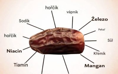 Úžasné výhody datlí: Superpotravina plná živin