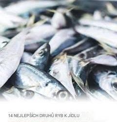 VAROVÁNÍ – OKAMŽITĚ PŘESTAŇTE JÍST TUTO RYBU: ÚPLNÉ VAROVÁNÍ OHLEDNĚ ZDRAVOTNÍCH ÚDAJŮ A VĚDECKÝ PŘEHLED (CO MUSÍTE VĚDĚT, NEŽ BUDE POZDĚ)