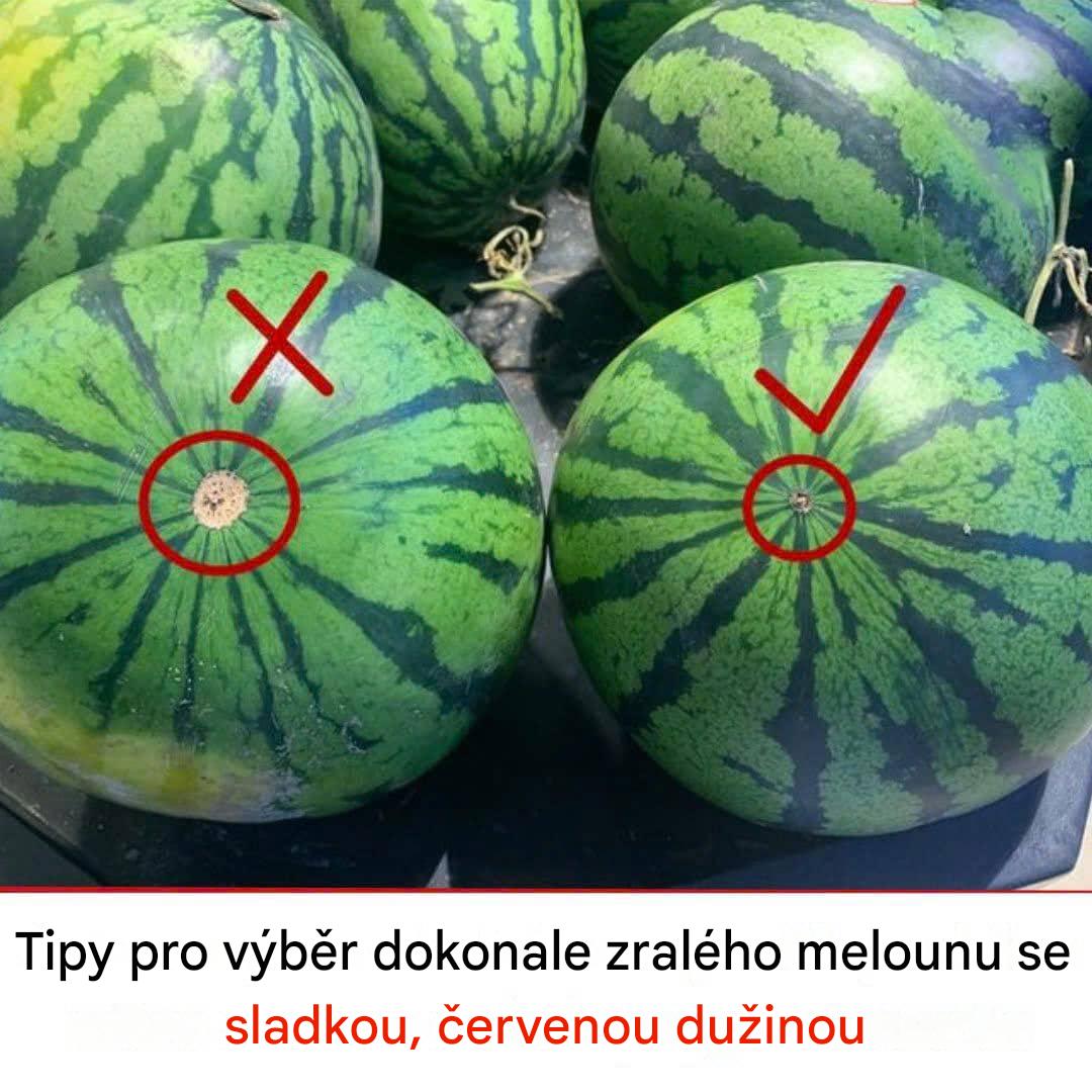Jak na první pohled poznat dokonale zralý meloun