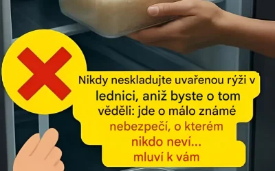 Tajemství optimálního uchovávání vařené rýže