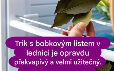 Skryté výhody bobkových listů pro vaši ledničku