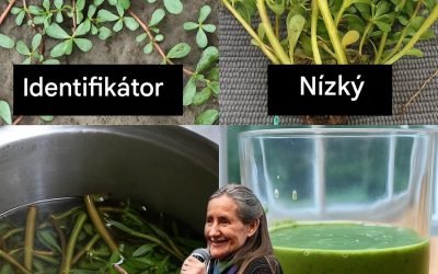Tato zapomenutá zelenina z vaší zahrady je zlatým dolem pro vaši vitalitu.