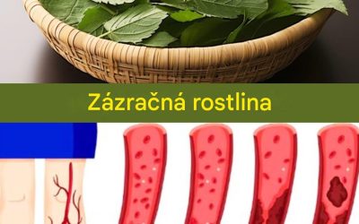Netušené výhody málo známé rostliny pro celkové zdraví