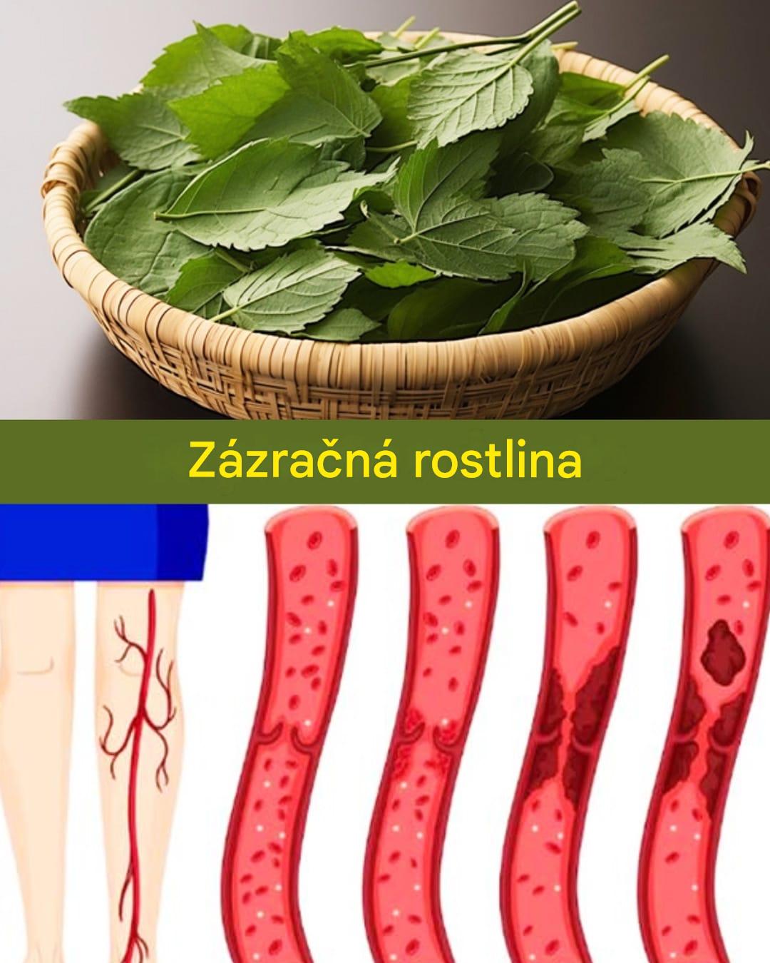Netušené výhody málo známé rostliny pro celkové zdraví